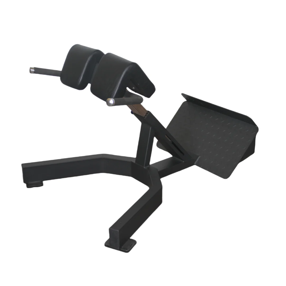 Home Gym Leg Extension Machine - كرسي روماني لتمارين الظهر بسعر المصنع،