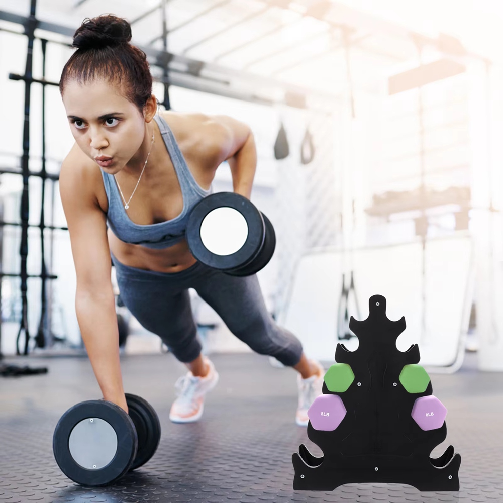 حامل دمبل صديق للميزانية، حامل - مراجعة Home Gym Budget وسعره