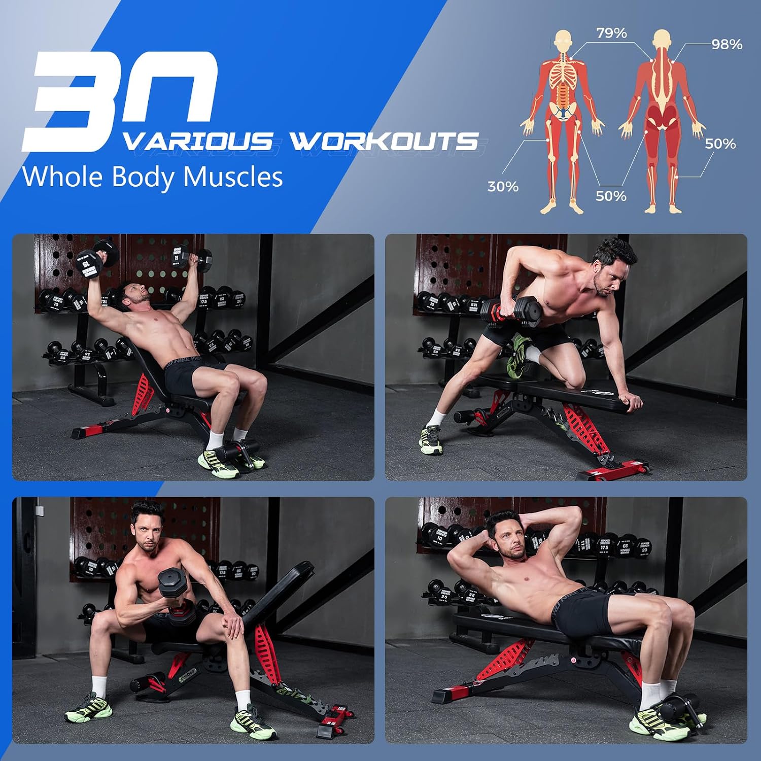 مقعد تمارين قابل للتعديل، يتحم - مراجعة Home Gym Weight وسعره