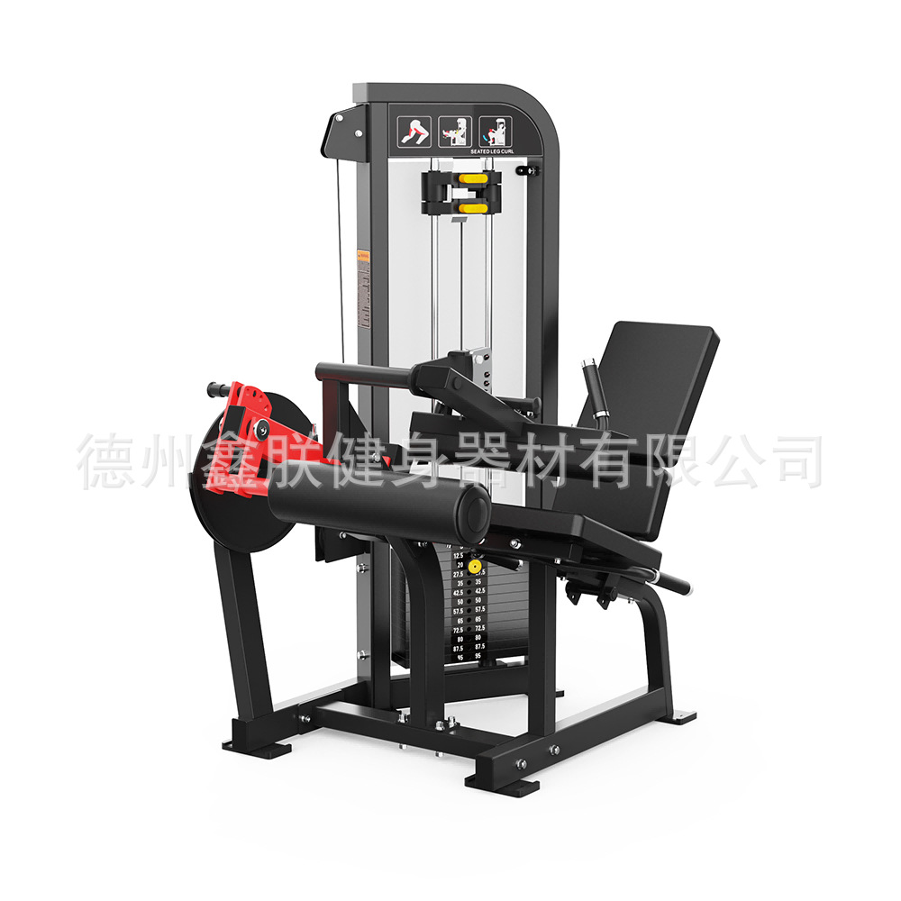 مجموعة معدات هامر سترنغث للجيم - مراجعة Home Gym Leg Extension Machine وسعره